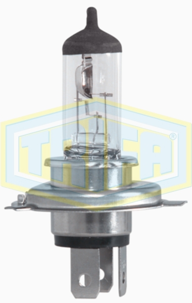 HS1 Halogen Motor bike bulbs