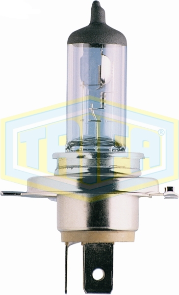 H4 Halogen bulbs