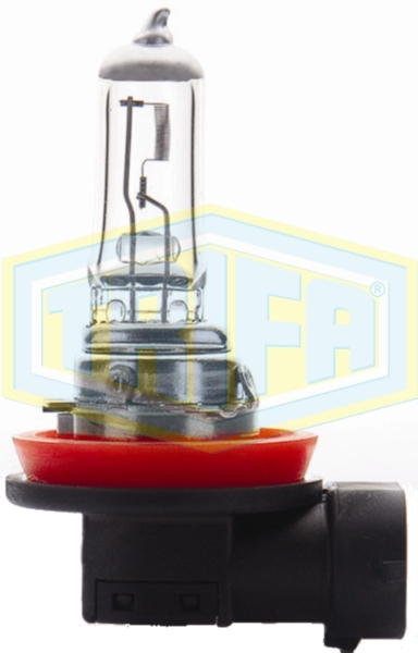 H11 Halogen bulbs CDL