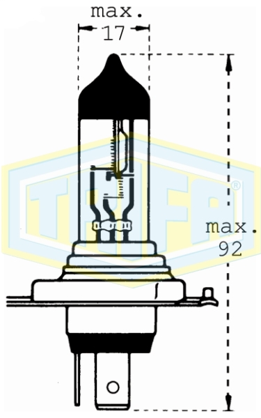 H4 Halogen bulbs Blue