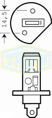 H1 Halogen bulbs Prime +50%